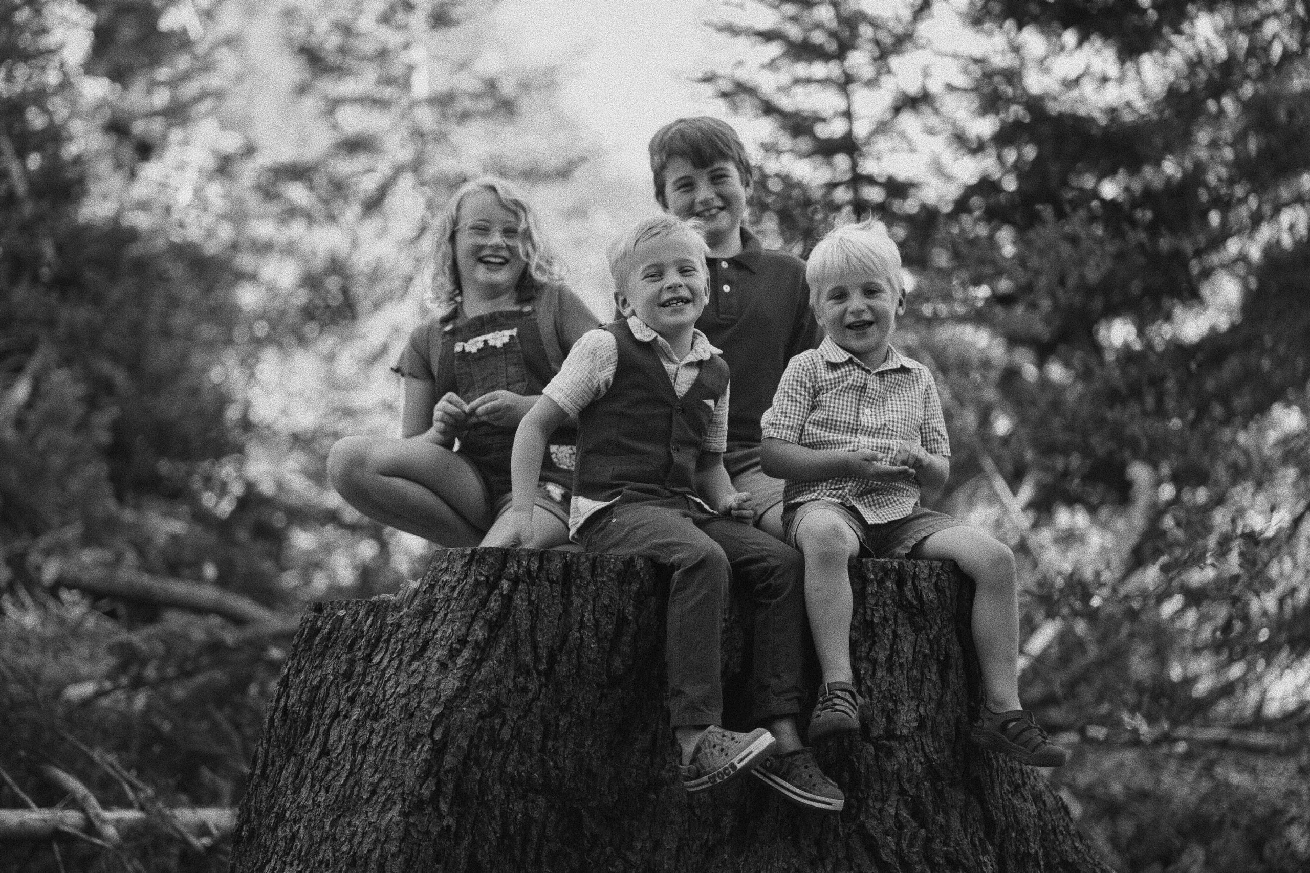 Black-and-white photo of four laughing children perched together on a large tree stump in the forest.