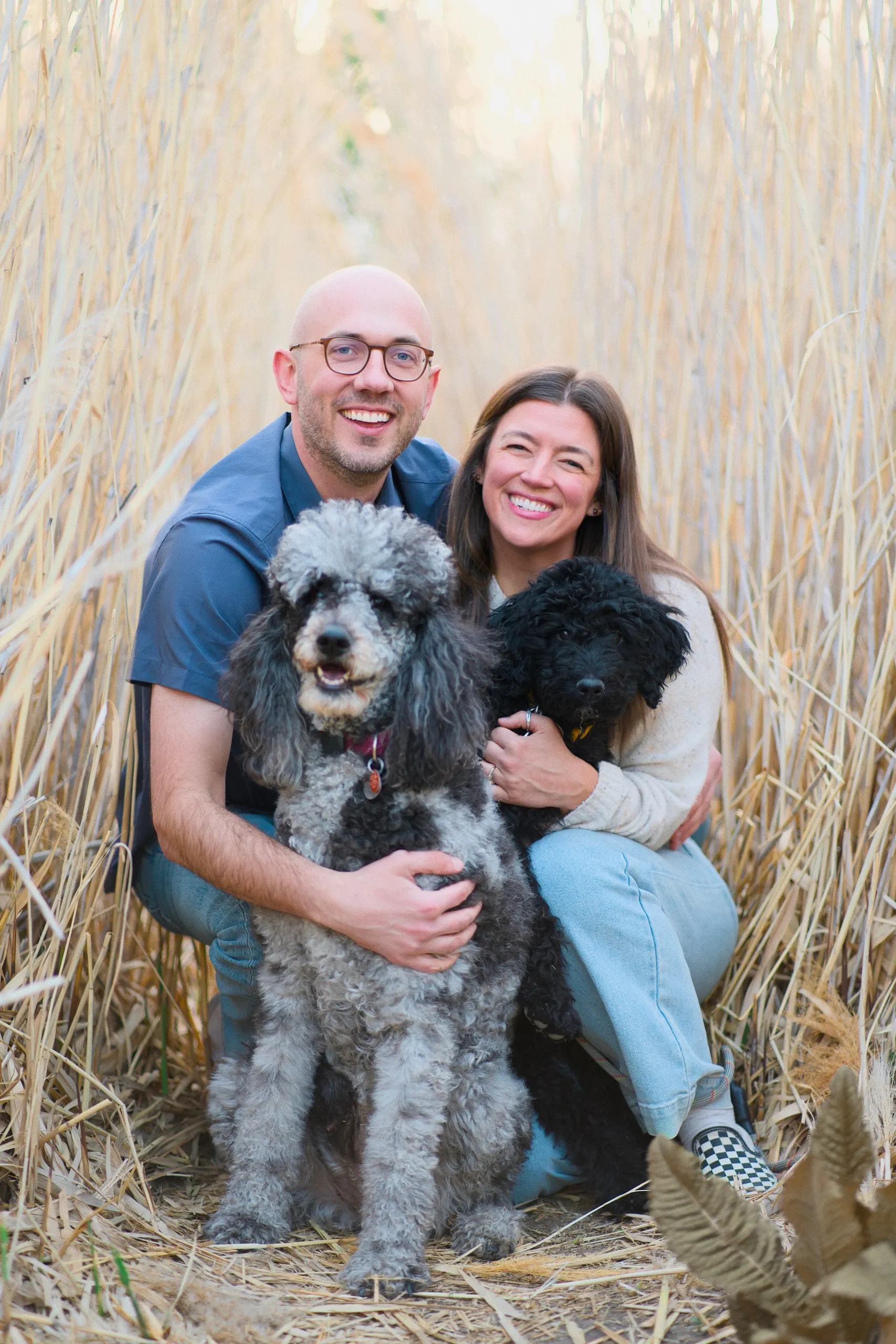 A couple crouch in tall golden reeds, each holding one of their two poodles.