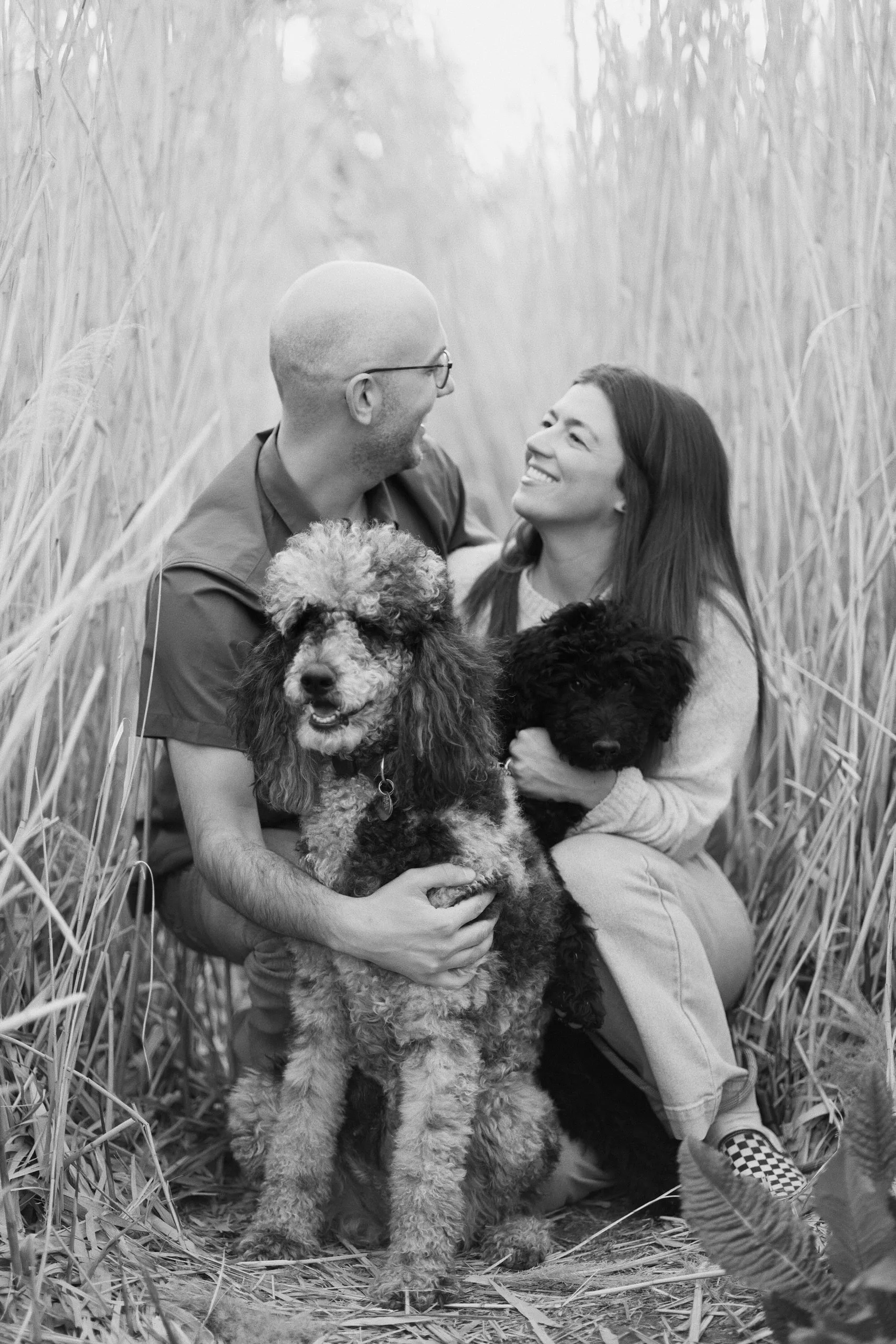 Black-and-white photo of a couple kneeling in tall reeds with their two poodles, smiling at each other.